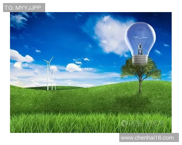 如东环保姚明携手共建绿色未来推动可持续发展新模式