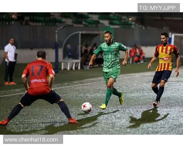 足球明星退役后职业选择的多样性与发展路径分析 足球明星退役后职业选择的多样性与发展路径分析