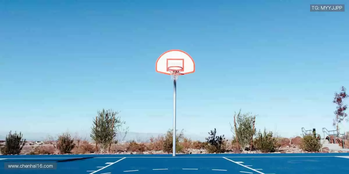 🎯 专业装备,助力突破极限!💪 每一次挥拍,都是精准的胜利!